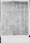 Dunstable Gazette Wednesday 06 August 1873 Page 3