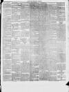 Dunstable Gazette Wednesday 20 August 1873 Page 3