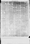 Dunstable Gazette Wednesday 03 September 1873 Page 3