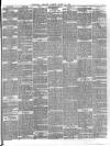 Dunstable Gazette Wednesday 13 March 1889 Page 3