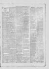 Dunstable Gazette Wednesday 07 November 1900 Page 3