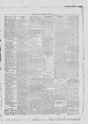Dunstable Gazette Wednesday 21 November 1900 Page 5