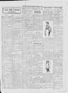 Dunstable Gazette Wednesday 13 March 1912 Page 3