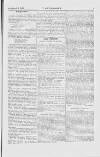 Y Gwladgarwr Saturday 03 July 1858 Page 3