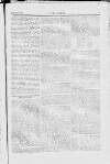 Y Gwladgarwr Saturday 16 October 1858 Page 5