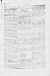 Y Gwladgarwr Saturday 04 December 1858 Page 5