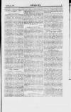 Y Gwladgarwr Saturday 24 March 1866 Page 3