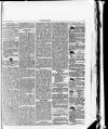 Y Gwladgarwr Saturday 16 January 1875 Page 5