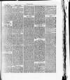 Y Gwladgarwr Saturday 27 February 1875 Page 3