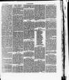 Y Gwladgarwr Friday 12 March 1875 Page 3