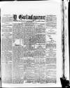 Y Gwladgarwr Friday 14 May 1875 Page 1