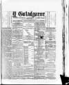 Y Gwladgarwr Friday 11 June 1875 Page 1