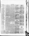Y Gwladgarwr Friday 11 June 1875 Page 7