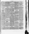 Y Gwladgarwr Friday 27 August 1875 Page 5