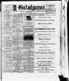 Y Gwladgarwr Friday 19 November 1875 Page 1