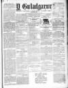 Y Gwladgarwr Friday 26 January 1877 Page 1