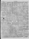 Y Gwladgarwr Friday 08 February 1878 Page 5