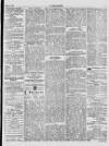 Y Gwladgarwr Friday 24 May 1878 Page 5