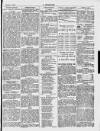 Y Gwladgarwr Friday 06 February 1880 Page 7