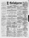 Y Gwladgarwr Friday 21 May 1880 Page 1