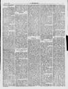 Y Gwladgarwr Friday 21 May 1880 Page 3