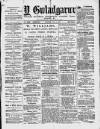 Y Gwladgarwr Friday 17 September 1880 Page 1