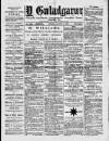 Y Gwladgarwr Friday 10 December 1880 Page 1
