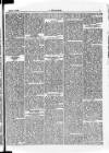 Y Gwladgarwr Friday 24 March 1882 Page 3