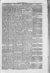 Llais Y Wlad Friday 13 March 1874 Page 3