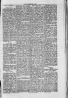 Llais Y Wlad Friday 24 April 1874 Page 3