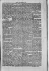 Llais Y Wlad Friday 31 July 1874 Page 5