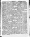 Llais Y Wlad Friday 17 March 1876 Page 5