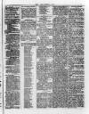 Llais Y Wlad Friday 05 July 1878 Page 3