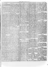 Llais Y Wlad Friday 13 December 1878 Page 5
