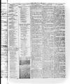 Llais Y Wlad Friday 05 August 1881 Page 3