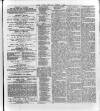 Llais Y Wlad Thursday 05 June 1884 Page 3