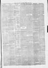 North Devon Advertiser Friday 02 April 1875 Page 3