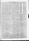 North Devon Advertiser Friday 04 June 1875 Page 3