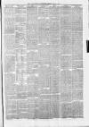 North Devon Advertiser Friday 18 June 1875 Page 3
