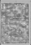 North Devon Advertiser Friday 08 March 1878 Page 3