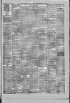 North Devon Advertiser Friday 12 April 1878 Page 3