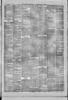 North Devon Advertiser Friday 26 April 1878 Page 3