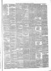 North Devon Advertiser Friday 30 July 1880 Page 3