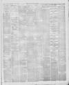Altrincham, Bowdon & Hale Guardian Saturday 31 January 1874 Page 5