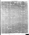 Altrincham, Bowdon & Hale Guardian Saturday 25 March 1876 Page 3