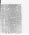 Altrincham, Bowdon & Hale Guardian Wednesday 26 June 1878 Page 3