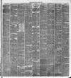 Altrincham, Bowdon & Hale Guardian Saturday 15 May 1880 Page 3