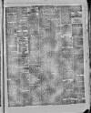Ashton Standard Saturday 27 January 1877 Page 5
