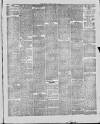 Ashton Standard Saturday 22 June 1889 Page 7