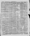 Ashton Standard Saturday 06 July 1889 Page 3